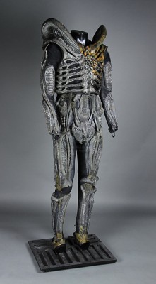 img1 (6).jpg