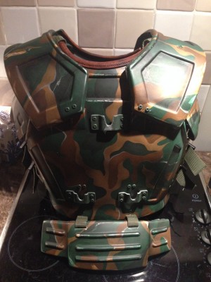 armour_back.JPG
