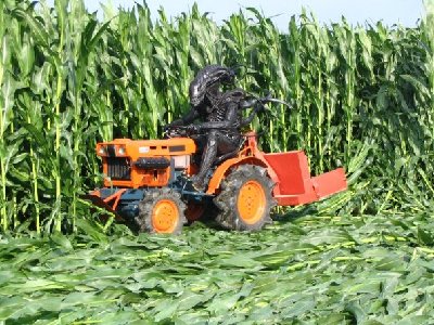 mytractor1.jpg