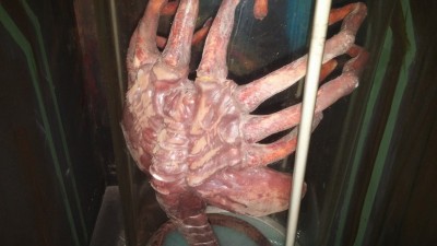 SU Facehugger Stasis Tube at HW Casino PA 2.jpg