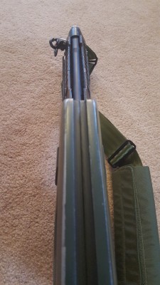 p7.jpg