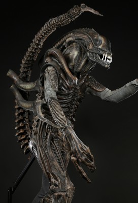 71695_Alien Creature Costume_19.jpg
