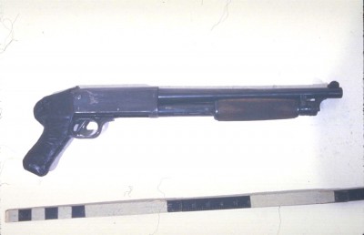 shotgun1medium1.jpg