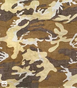 HH camo.jpg