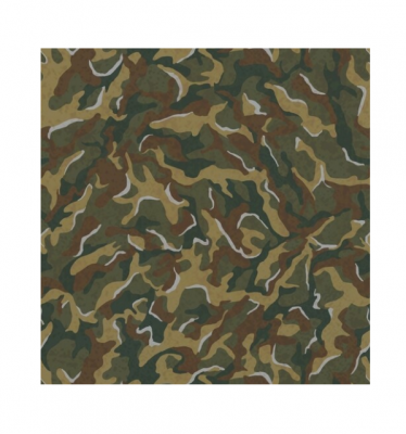 armour paint pattern.png