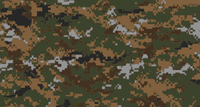 Screen Shot 2021-12-14 at 9.21.02 AM.png