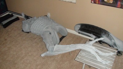 arm3.jpg