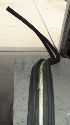 tail1.jpg