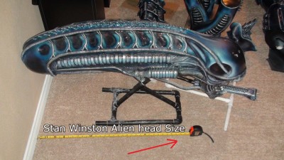 alien head size.jpg