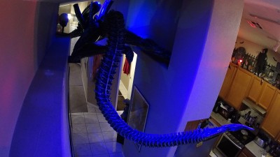 alien tail dark.jpg