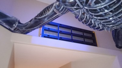 464300870_2277340242638029_6868901580430206214_n.jpg