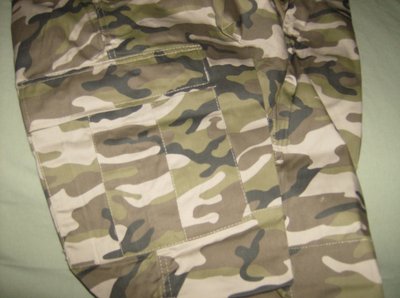 Camo 1.jpg