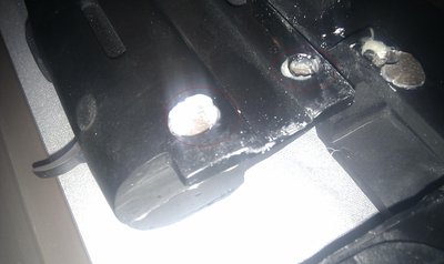 IMAG0481.jpg
