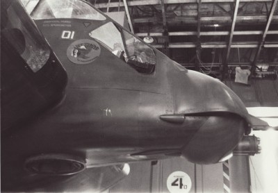 DS-repair-sm.jpg