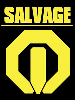 deepsalvagelogo1.jpg