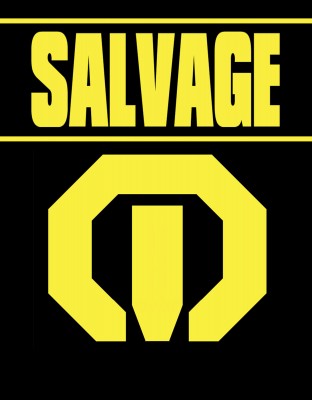 deepsalvagelogo4.jpg